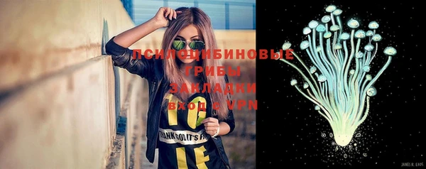 PSILOCYBIN Балахна