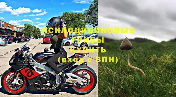 PSILOCYBIN Балахна
