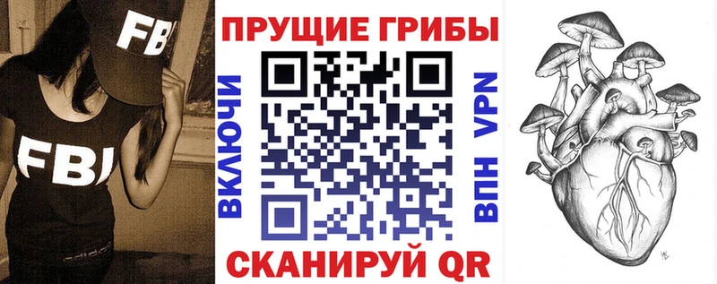 Псилоцибиновые грибы Psilocybe Бор